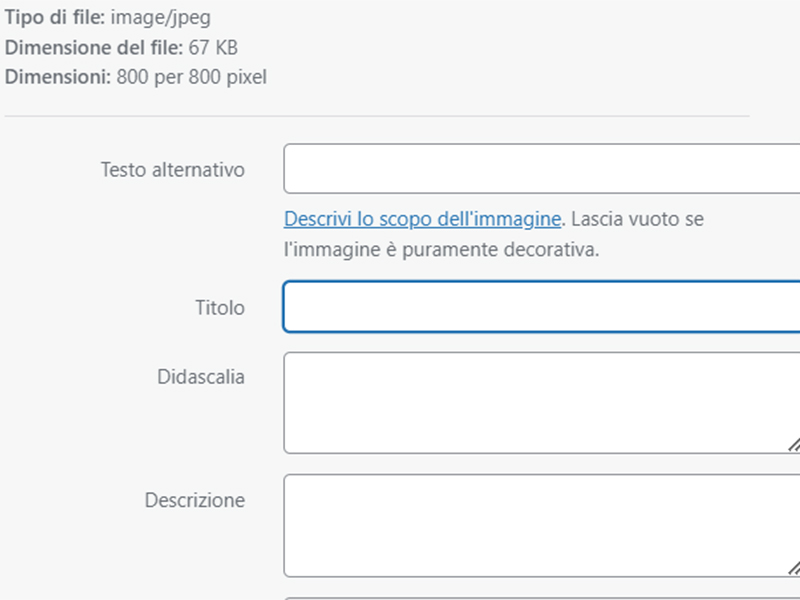 screenshot alt tag immagini wordpress
